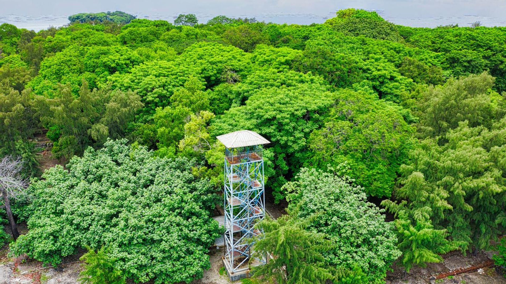 A serene landscape view from a high vantage point at sunrise.
